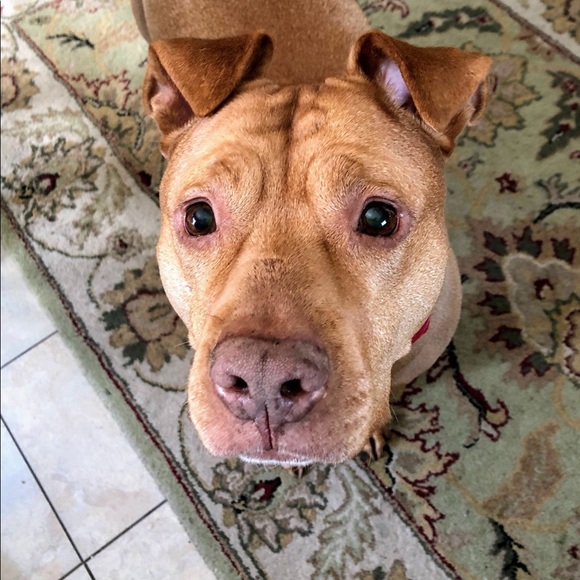 Meet your Posher, Leann - Picture 2 of 2